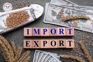 Export Import Procedures
