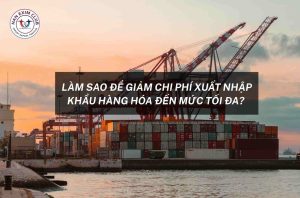Làm sao để giảm chi phí xuất nhập khẩu đến mức tối đa