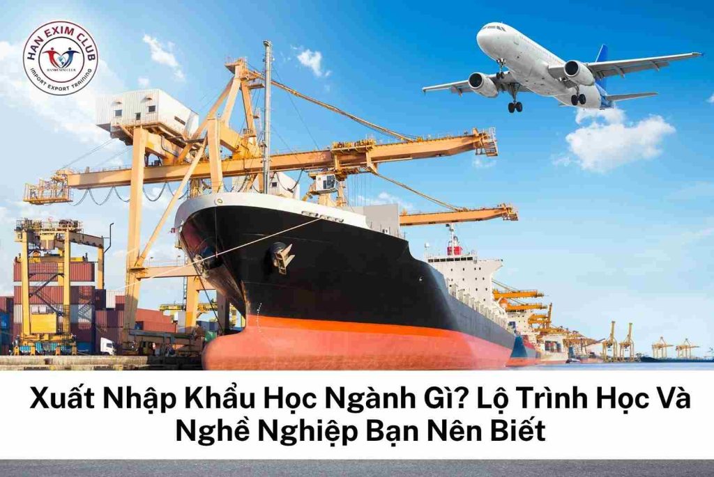 Xuất nhập khẩu họ ngành gì