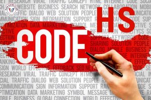 Cấu trúc hs code và cách đọc chuẩn