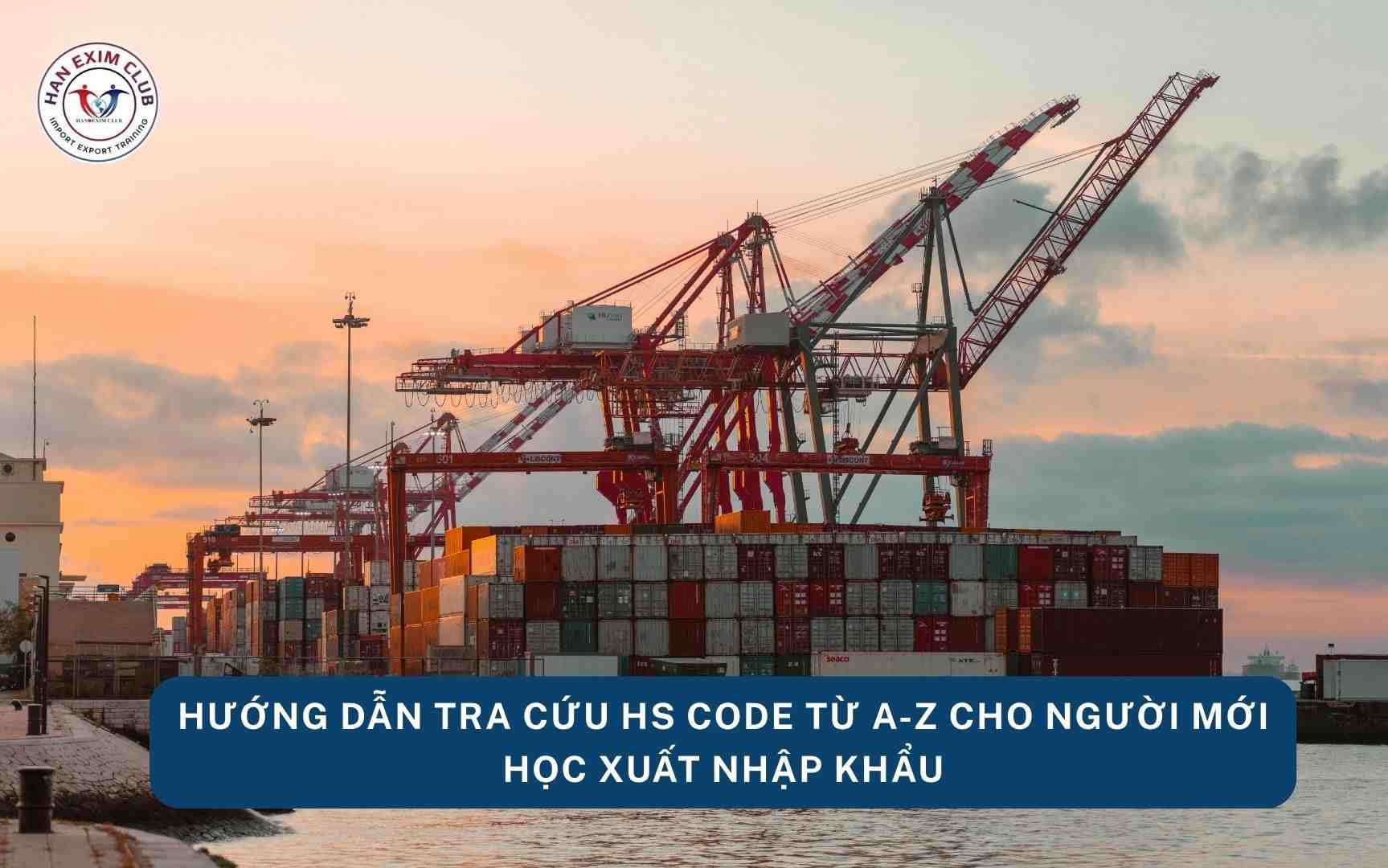 Hướng dẫn tra cứu hs code