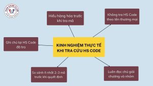 Kinh nghiệm thực tế khi tra cứu hs code