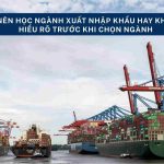 Có Nên Học Ngành Xuất Nhập Khẩu Không? Hiểu Rõ Trước Khi Chọn Ngành