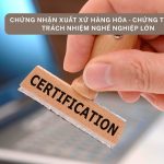 Chứng Nhận Xuất Xứ Hàng Hóa: Chứng Từ Nhỏ, Trách Nhiệm Nghề Nghiệp Lớn