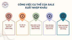 Công việc cụ thể của sale xuất nhập khẩu