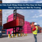 Nhân Viên Xuất Nhập Khẩu Có Phù Hợp Với Bạn? Góc Nhìn Thực Tế Cho Người Mới Ra Trường