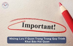 Những lưu ý quan trọng trong quy trình khai báo hải quan