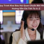 Quy Trình Khai Báo Hải Quan Chuẩn Mới Nhất 2026, Hướng Dẫn Chi Tiết Từ A–Z