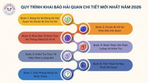 Quy trình khai báo hải quan chi tiết mới nhất năm 2026