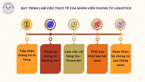 Quy trình làm việc thực tế của nhân viên chứng từ logistics