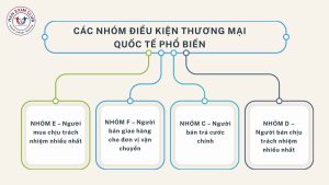 Các nhóm điều kiện thương mại quốc tế phổ biến