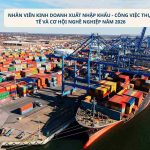 Nhân Viên Kinh Doanh Xuất Nhập Khẩu: Công Việc Thực Tế Và Cơ Hội Nghề Nghiệp 2026