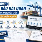 Quy Trình Khai Báo Hải Quan Chuẩn Cho Người Mới Làm Xuất Nhập Khẩu