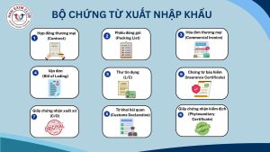 Bộ chúng từ xuất nhập khẩu