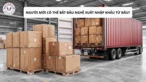 Người mới có thể học xuất nhập khẩu từ đâu