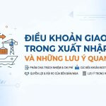 Điều Khoản Giao Hàng Trong Xuất Nhập Khẩu Và Những Lưu Ý Quan Trọng