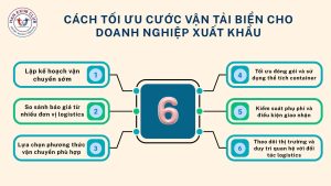 Cách tối ưu cước vận tải biển cho doanh nghiệp xuất khẩu